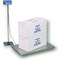 Brecknell PS500 Floor Scale System - 42" 816965001453 - alternate 5
